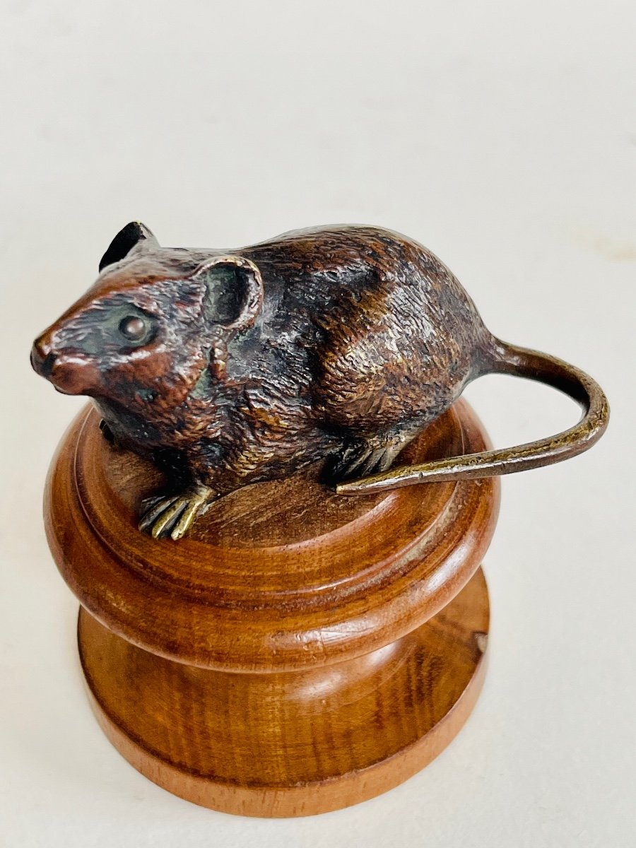 Souris Bronze De Vienne -photo-2